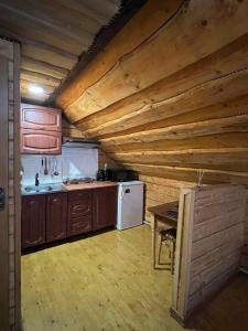 Η κουζίνα ή μικρή κουζίνα στο Лісова тиша номер - 2