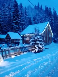 Το Лісова тиша номер - 2 τον χειμώνα +2 φωτογραφίες