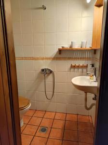 a bathroom with a shower and a toilet and a sink at Villa Aretousa in Palaios Agios Athanasios +29 photos