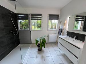 a bathroom with a shower and a plant in it at MAISON DES VIGNES in Embrun +31 photos