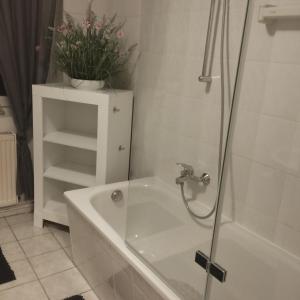 a bathroom with a shower and a tub with a plant at Fewo Am Waldrand in Heideblick +10 photos