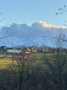 Una montaña a lo lejos con casas y árboles. en Rusiński Raj - Domki, en Bukowina Tatrzańska