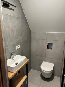 Un baño con lavabo e inodoro en Rusiński Raj - Domki, en Bukowina Tatrzańska