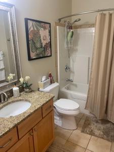 een badkamer met toilet, wastafel en douche bij NEW - Raven's Nest - DT Leavenworth in Leavenworth