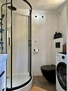 a bathroom with a shower and a toilet and a washing machine at Domek Sosna 
