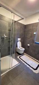 a bathroom with a toilet and a glass shower at Apartmánová chata u pláže Sečské přehrady in Hoješín +10 photos