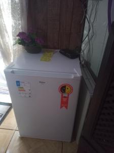 a white refrigerator with a plant on top of it at Recanto Privativo Suíte Brisa de Araruama - Região dos Lagos in Araruama
