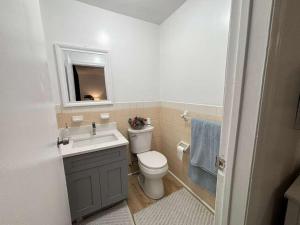 Entire Cozy Apartment Fully Renovated Modern Style في نورث برونزويك: حمام مزود بمرحاض ومغسلة ومرآة +11 صورة