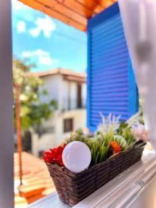 Billede fra billedgalleriet på Natalia's House i Pefkohori