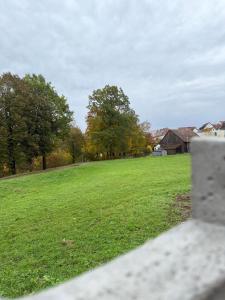 un campo de césped verde con árboles y una casa en Ruhiges Apartment mit Terrasse an der Donau - Schwaben Living, en Munderkingen
