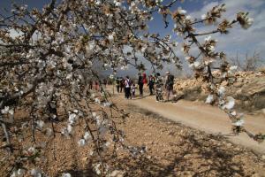 Hosté ubytování Alojamientos Rurales Cortijo Las Golondrinas