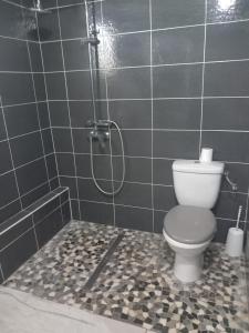 a bathroom with a shower and a toilet in it at lorispring in Îlet à Christophe