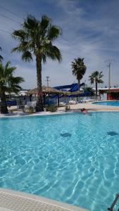 Πισίνα στο ή κοντά στο Mon petit nid