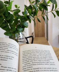 Knihovna v apartmánu