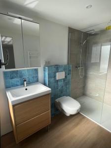 a bathroom with a sink and a toilet and a shower at Studio - Doubs Jura in Rans