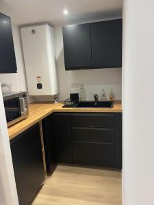 a kitchen with black cabinets and a sink at Studio - Doubs Jura in Rans