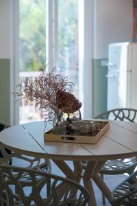 a wooden table with a plant in a box on it at Essenza Suite Appartments in Rimini