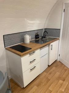 a kitchen with a sink and a counter top at AfonCoed - A cozy, quiet stay by the river in Llanrhaeadr-ym-Mochnant