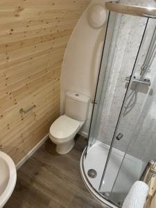 a bathroom with a toilet and a glass shower at AfonCoed - A cozy, quiet stay by the river in Llanrhaeadr-ym-Mochnant