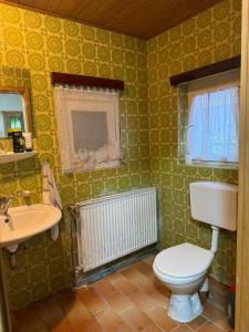 een badkamer met toilet en wastafel bij Alex3 in Hannover