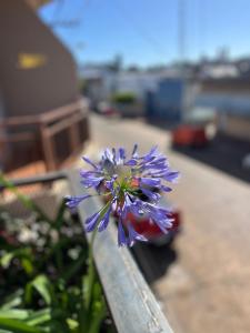 Φωτογραφία από το άλμπουμ του Alborada σε Paso de los Libres