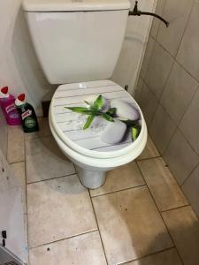 a bathroom with a toilet with a plant in the seat at Chambre au calme in Lambesc
