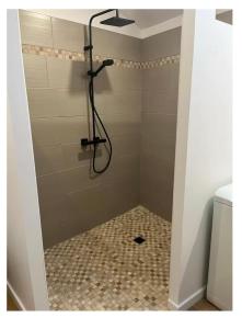 a shower with a shower head in a bathroom at Appartement calme in Sigogne