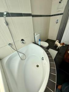 a bathroom with a tub and a dog in a bathroom at Beachfront Apartment in Tergniet +49 photos