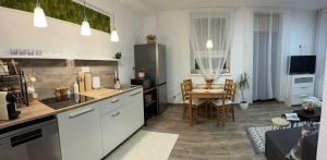 Kuchyň nebo kuchyňský kout v ubytování Apartmán Nekonečno Jeseník + 10 fotografií