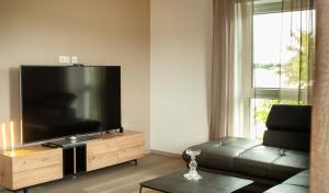 a living room with a large flat screen tv at Deluxe Apartment-Fürstenau 3 in Fürstenau