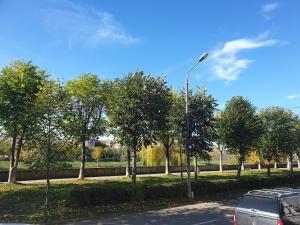 Φωτογραφία από το άλμπουμ του River Apartment σε Lugoj