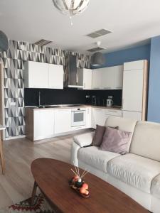 Η κουζίνα ή μικρή κουζίνα στο River Apartment