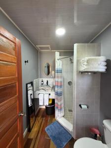 ダンリガにあるSunshine Cabanas At Ocean Viewのシャワーと洗面台付きのバスルーム +21枚の写真