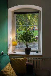 Zahrada ubytování Pod Papugami