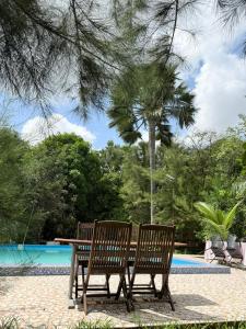 two wooden chairs and a table next to a pool at Dalaba Eco-Lodge in Gunjur