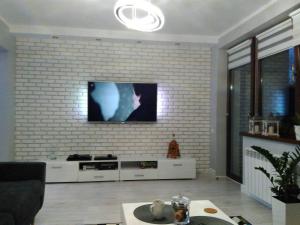 ein Wohnzimmer mit einem TV an einer Backsteinwand in der Unterkunft Bieszczady Apartament Gniazdo Baligród in Baligród