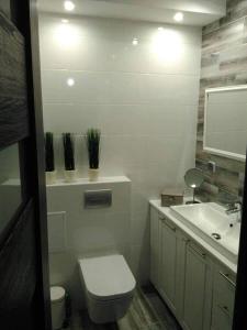 ein weißes Badezimmer mit Toilette und Waschbecken in der Unterkunft Bieszczady Apartament Gniazdo Baligród in Baligród