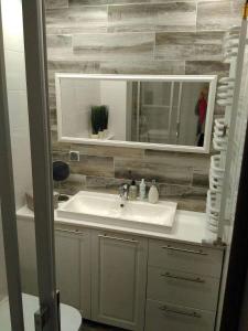 ein Badezimmer mit Waschbecken und Spiegel in der Unterkunft Bieszczady Apartament Gniazdo Baligród in Baligród