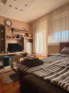 TV a/nebo společenská místnost v ubytování Apartman ASKA