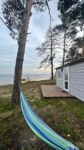 ヘリボルカにあるSpokiyの家の隣の木に結ばれた青いハンモック