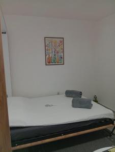 a bed in a room with a picture on the wall at Apartman Mali kutak in Gradačac