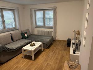 un salon avec un canapé et une table dans l'établissement Prázdninový dům, à Kout na Šumavě