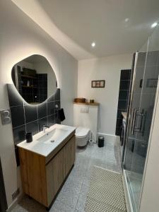 a bathroom with a sink and a toilet and a mirror at L'Appart du Coq - Proche du Zoo de Beauval & des châteaux in Selles-sur-Cher