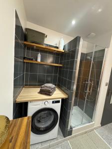 a washer and dryer in a bathroom with a shower at L'Appart du Coq - Proche du Zoo de Beauval & des châteaux in Selles-sur-Cher