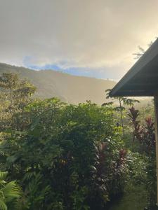 Φωτογραφία από το άλμπουμ του El Nido Torio σε Torio