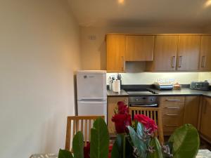a kitchen with a white refrigerator and wooden cabinets at No 1 High Park Lodges in Orkney
