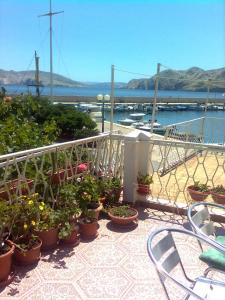 バスカにあるApartment Miraの水辺の景色を望む鉢植えの植物が備わるバルコニー