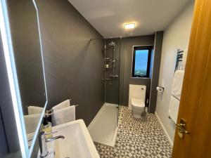 a bathroom with a toilet and a sink and a shower at No 1 High Park Lodges in Orkney +31 photos