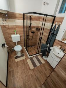 a bathroom with a shower and a toilet and a sink at Zo. Low Budget House in Bakonykoppány
