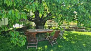 Κήπος έξω από το Studio Mountain Star Dream +1 φωτογραφίες